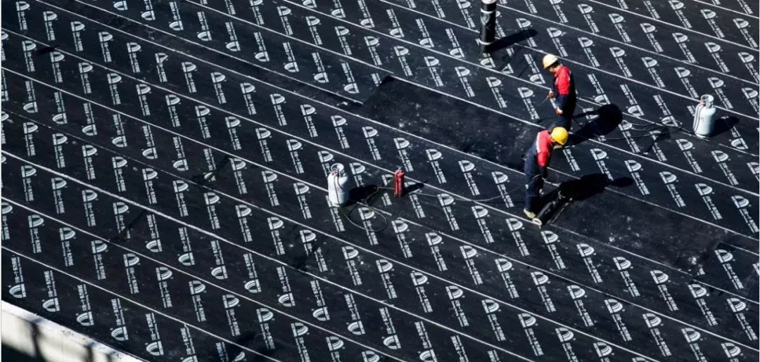 77���� �C ȫ����ȫ����̬�ȵ���������ֱ��ƽ̨