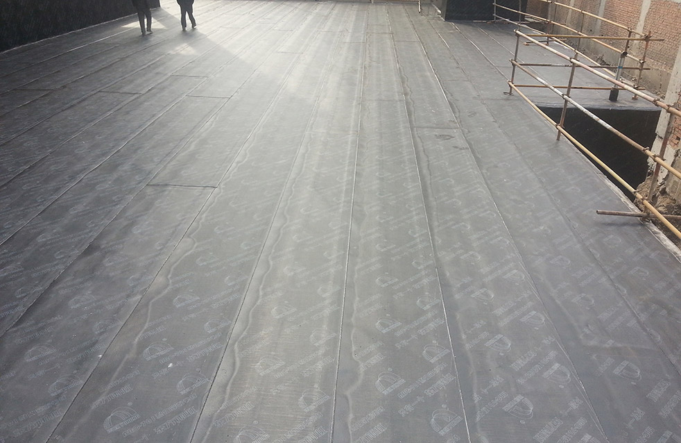 77���� �C ȫ����ȫ����̬�ȵ���������ֱ��ƽ̨