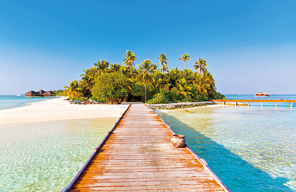 77���� �C ȫ����ȫ����̬�ȵ���������ֱ��ƽ̨