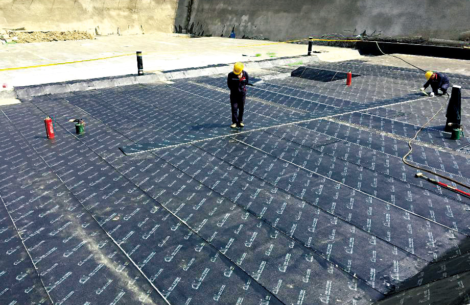 77���� �C ȫ����ȫ����̬�ȵ���������ֱ��ƽ̨