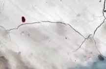 77���� �C ȫ����ȫ����̬�ȵ���������ֱ��ƽ̨