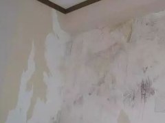 77���� �C ȫ����ȫ����̬�ȵ���������ֱ��ƽ̨