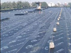 77���� �C ȫ����ȫ����̬�ȵ���������ֱ��ƽ̨