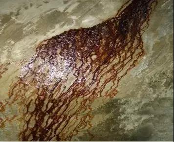 77���� �C ȫ����ȫ����̬�ȵ���������ֱ��ƽ̨