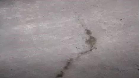 77���� �C ȫ����ȫ����̬�ȵ���������ֱ��ƽ̨