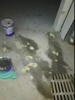 77���� �C ȫ����ȫ����̬�ȵ���������ֱ��ƽ̨