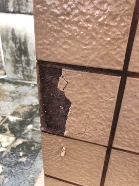 77���� �C ȫ����ȫ����̬�ȵ���������ֱ��ƽ̨