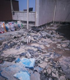 77���� �C ȫ����ȫ����̬�ȵ���������ֱ��ƽ̨