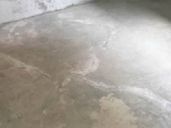 77���� �C ȫ����ȫ����̬�ȵ���������ֱ��ƽ̨