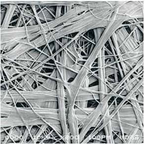 77���� �C ȫ����ȫ����̬�ȵ���������ֱ��ƽ̨