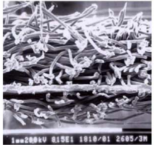 77���� �C ȫ����ȫ����̬�ȵ���������ֱ��ƽ̨