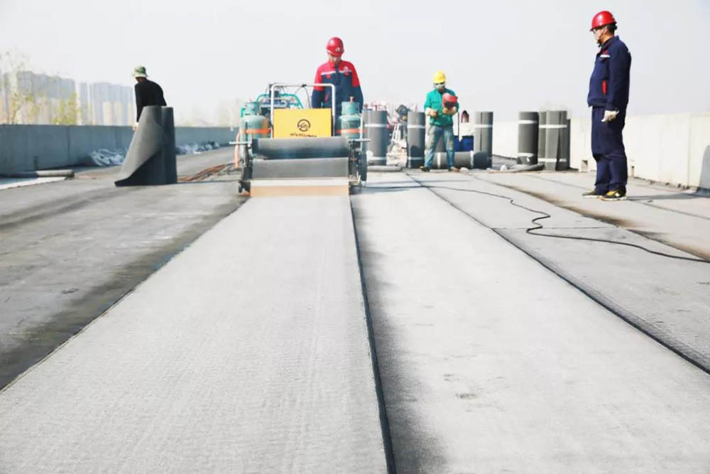 77体育 – 全网最全最有态度的体育赛事直播平台