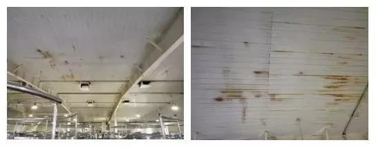 77���� �C ȫ����ȫ����̬�ȵ���������ֱ��ƽ̨