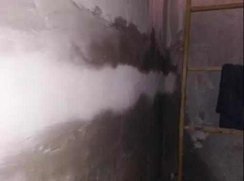 77���� �C ȫ����ȫ����̬�ȵ���������ֱ��ƽ̨