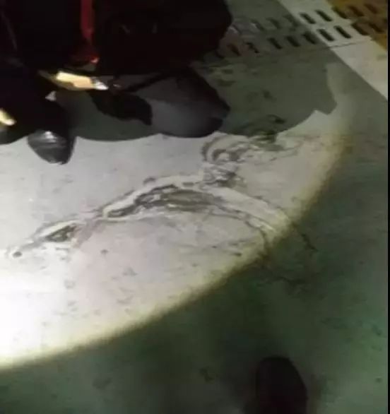 77���� �C ȫ����ȫ����̬�ȵ���������ֱ��ƽ̨