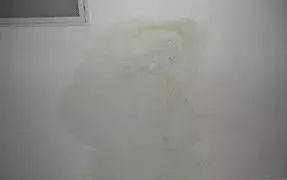 77���� �C ȫ����ȫ����̬�ȵ���������ֱ��ƽ̨