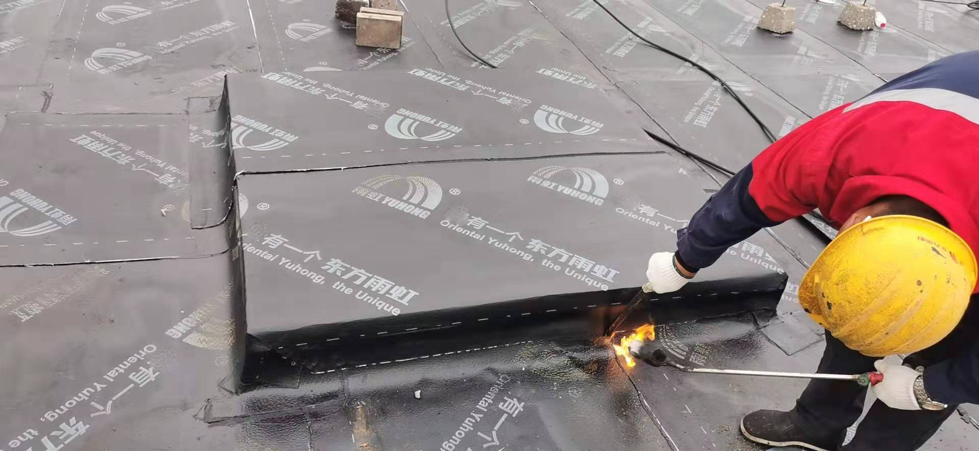 77���� �C ȫ����ȫ����̬�ȵ���������ֱ��ƽ̨