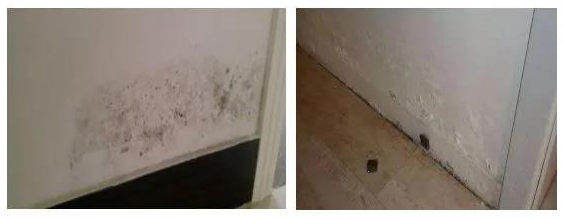 77ÌåÓý ¨C È«Íø×îÈ«×îÓÐ̬¶ÈµÄÌåÓýÈüÊÂÖ±²¥Æ½Ì¨