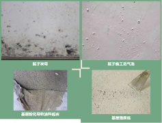 77���� �C ȫ����ȫ����̬�ȵ���������ֱ��ƽ̨