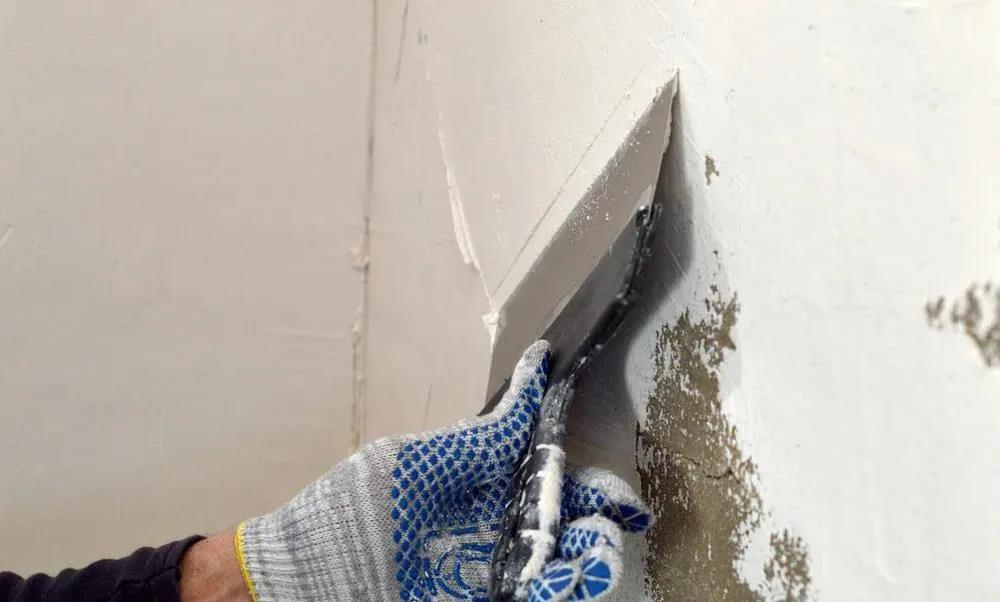 77体育 – 全网最全最有态度的体育赛事直播平台