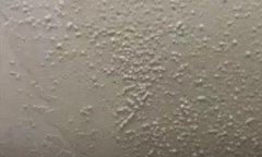 77���� �C ȫ����ȫ����̬�ȵ���������ֱ��ƽ̨