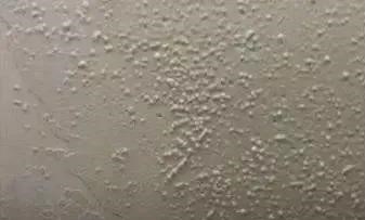 77���� �C ȫ����ȫ����̬�ȵ���������ֱ��ƽ̨