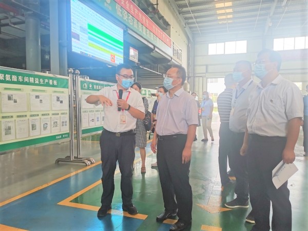 77体育 – 全网最全最有态度的体育赛事直播平台