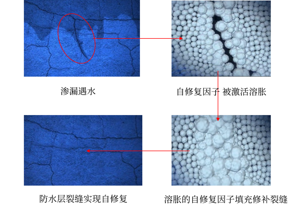 77体育 – 全网最全最有态度的体育赛事直播平台