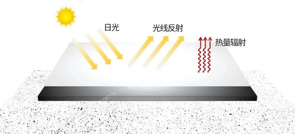 77���� �C ȫ����ȫ����̬�ȵ���������ֱ��ƽ̨